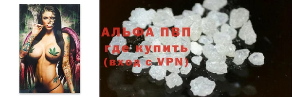 МДПВ Инта