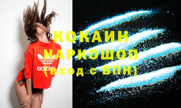 МДПВ Инта